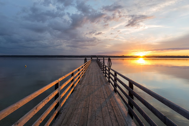 The path to wellness